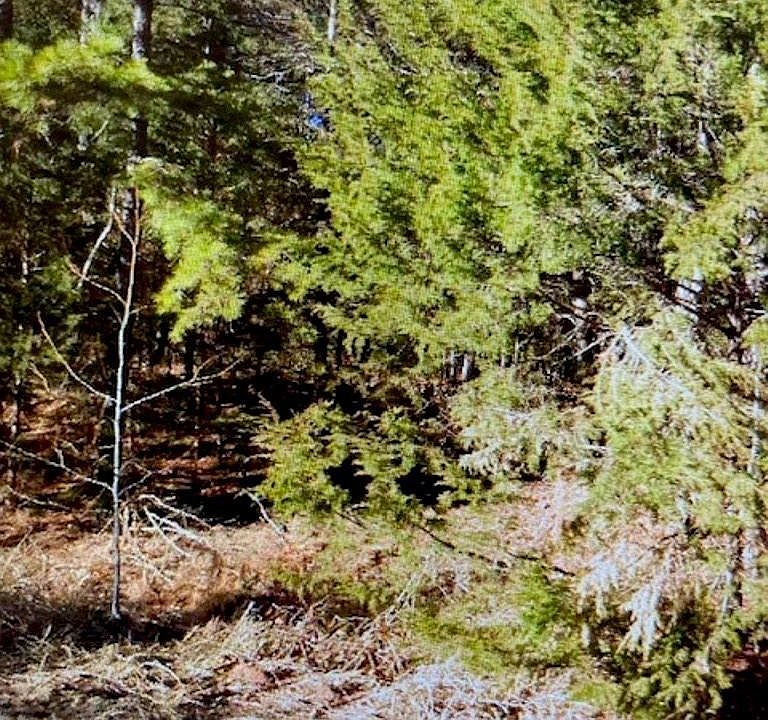 2nd image of 1220 Long Pine Church Rd