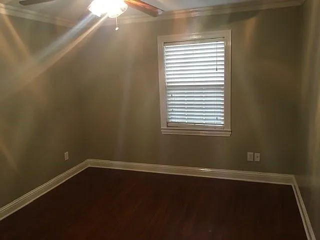 909 Shenandoah Dr — Photo 10