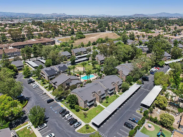 13 Acres of Sycamore Terrace
