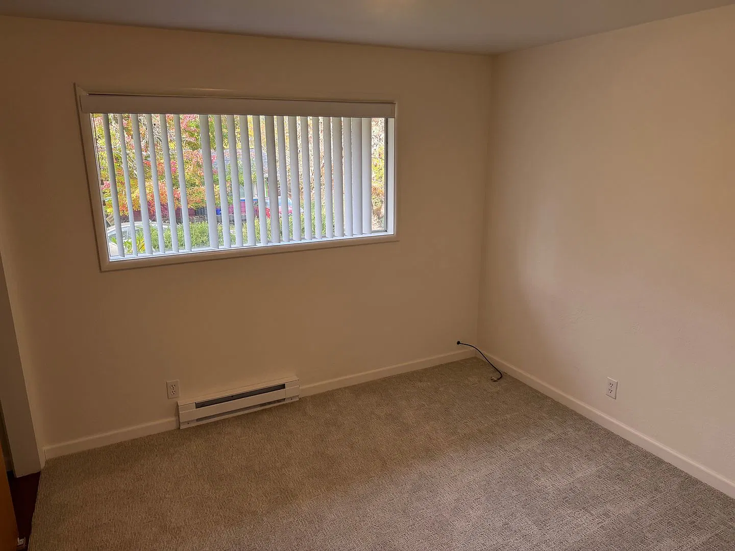 Great Single Level Home! — Photo 2