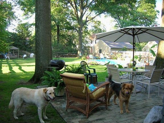 patio 1