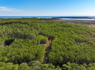 Buzzard Point Rd, Diggs, VA 23045