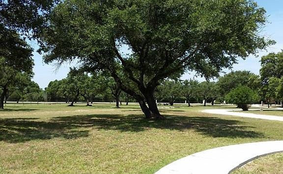 3 Acres dotted with shade trees