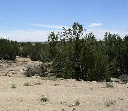 1st image of 6439 Castle Rock Cir