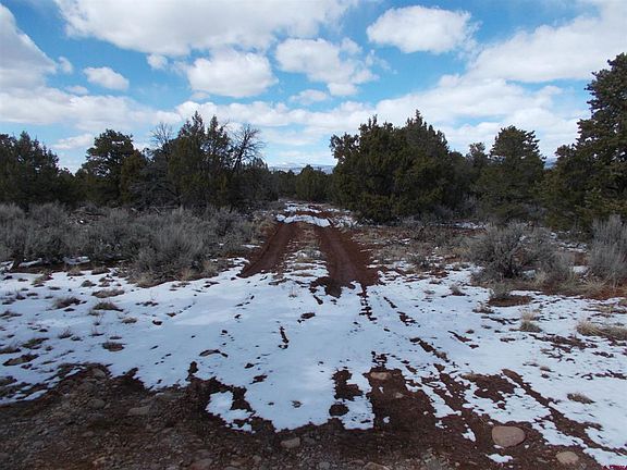5th image of Lot 19 County Road 42 ZN