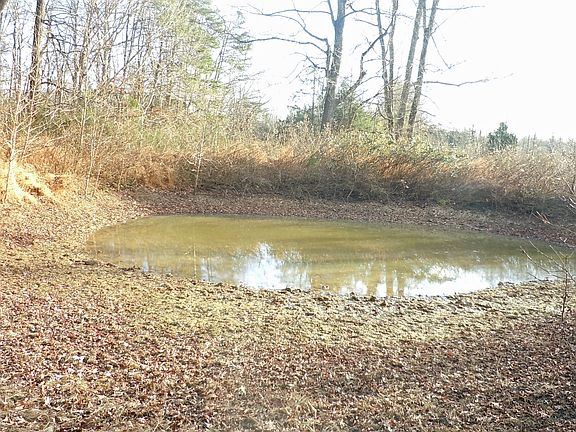 Pond Rear of Lot 7