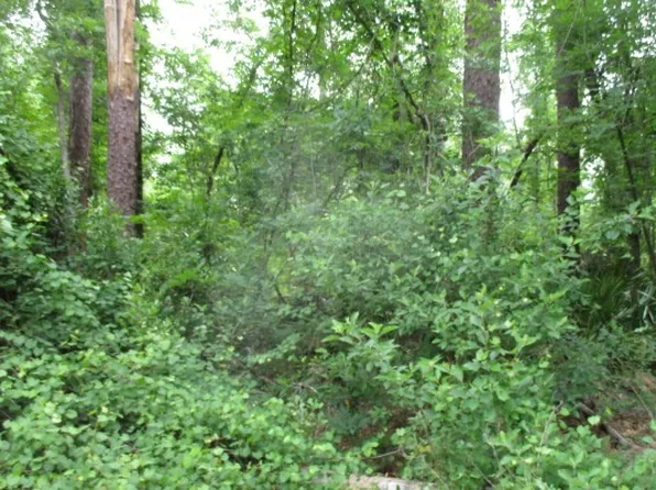 LOT 18 SW 76th Dr, Jasper, FL 32052