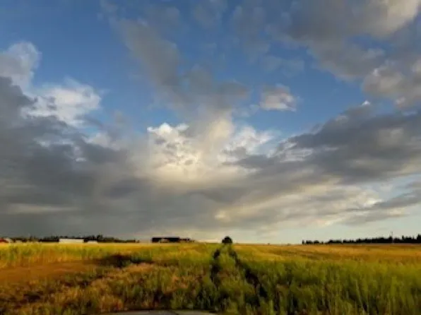 1010 W Wild Rose Rd, Colbert, WA 99005