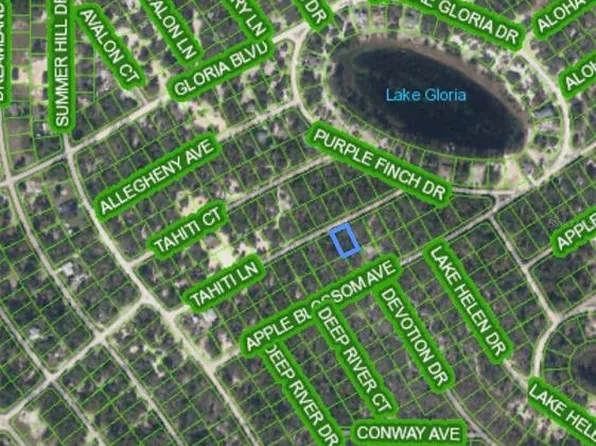 421 Tahiti Ln Lot 11, Lake Placid, FL 33852