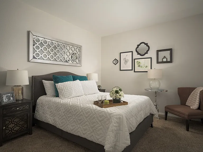 Large bedroom with large walk-in closets at Trevi Apartment Homes