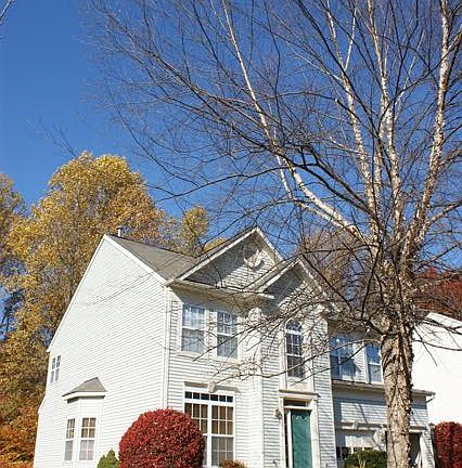 Autumn on Fancy Farm
