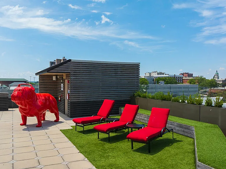 Accolade Athens Off Campus Housing — Photo 11