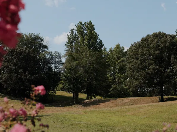0 Woods Cemetery Rd, Hickory Valley, TN 38042