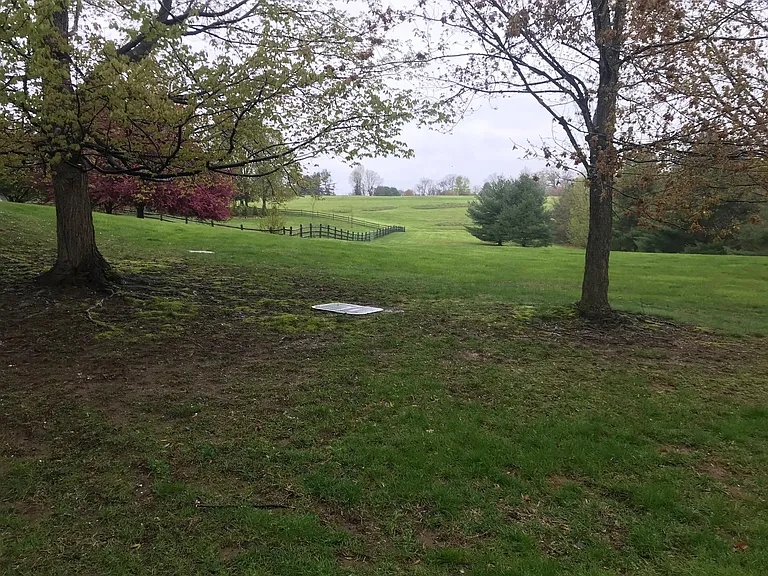 View off the Back Patio