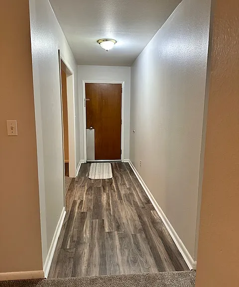 View from hallway to front door.