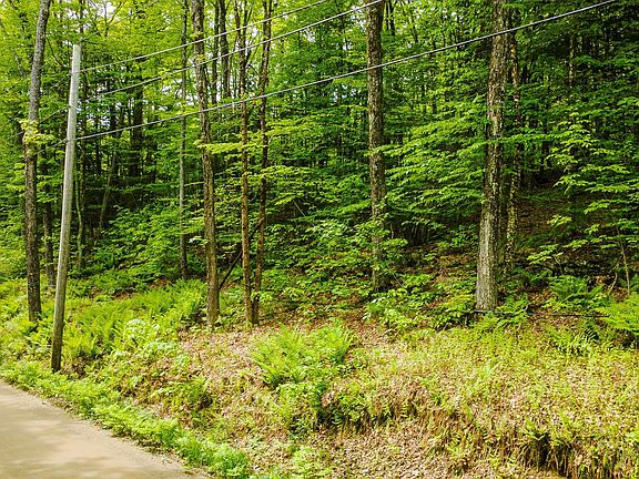 2nd image of Lot 67 Camp Brook Road