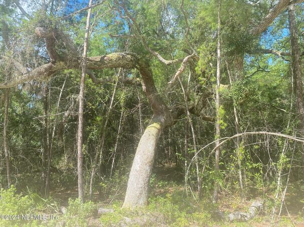 TBD ROBIN Road, Palatka, FL 32177