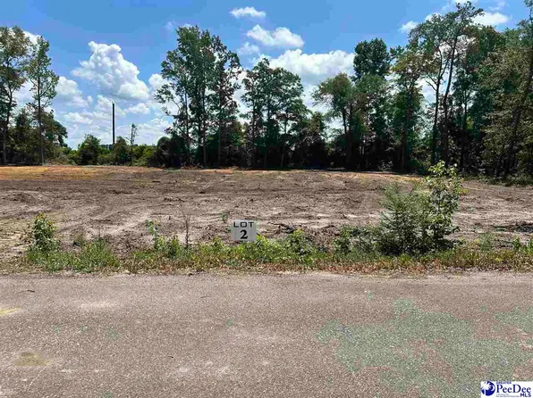 Tremont Cir, Hartsville, SC 29550