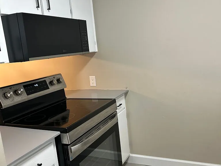 204 E Gottsche Ave — Photo 6