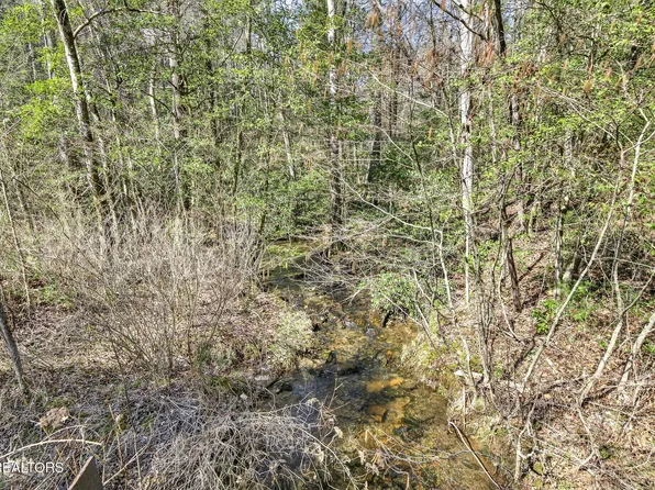 606 Dogwood Rd, Grandview, TN 37337