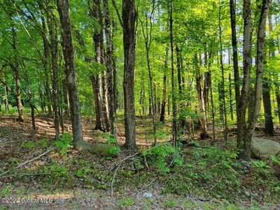 0 Charley Hill Road Road, Schroon, NY, 12870