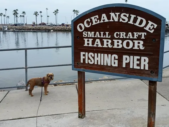 1202 N Pacific St Unit 209B, Oceanside, CA 92054