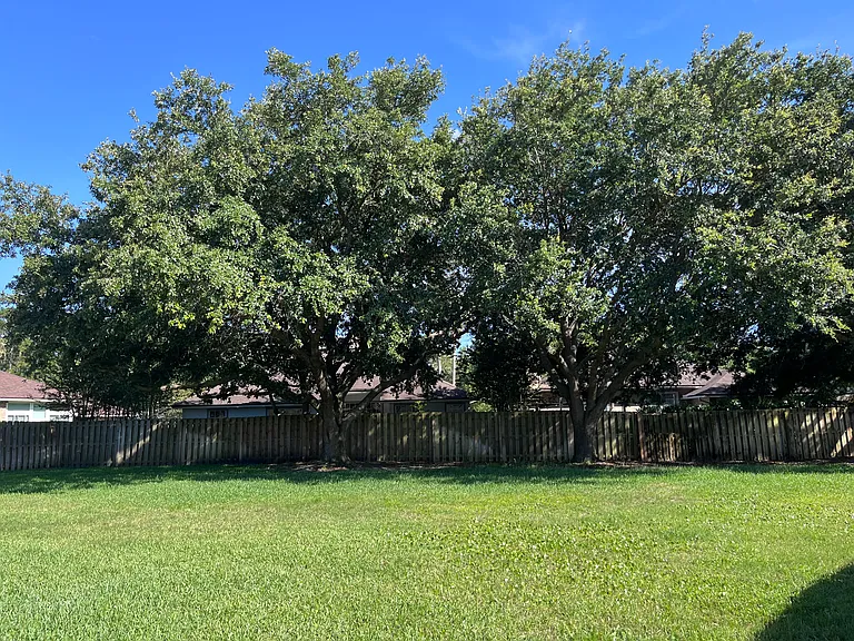 13034 River Springs Way — Photo 4