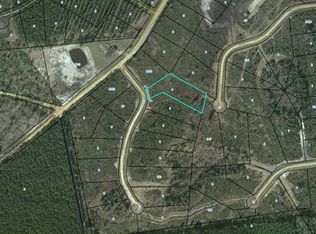 89 Daniel Rd, Waynesville, GA 31566