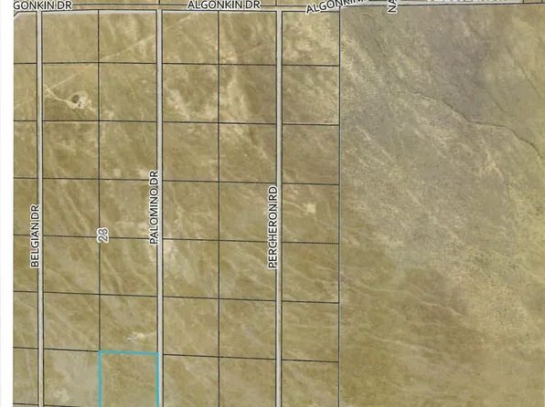 8067107 Palomino Rd, Golconda, NV 89414