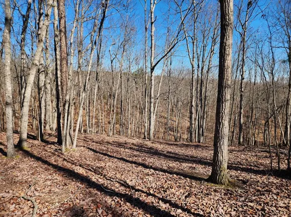 2635 Wildcat Bridge Rd, Royston, GA 30662