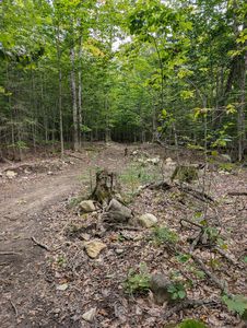 0 E South Caribou Lake Rd, De Tour Village, MI, 49725