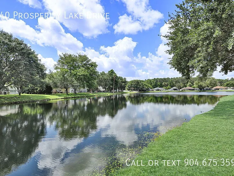 540 Prosperity Lake Dr — Photo 19