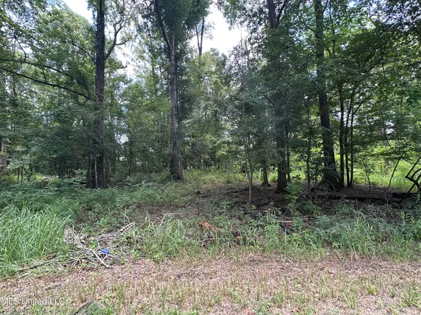 222 Hickory Ln Lot 222, Lucedale, MS 39452