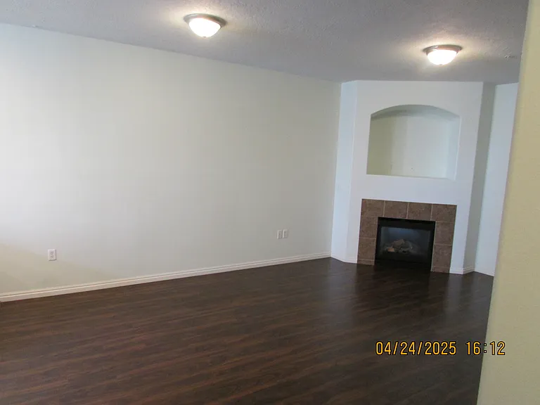 Living and gas fireplace