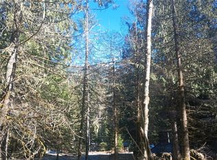 56414 382nd Avenue Ct E, Ashford, WA 98304