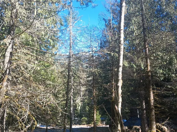 56414 382nd Avenue Ct E, Ashford, WA 98304