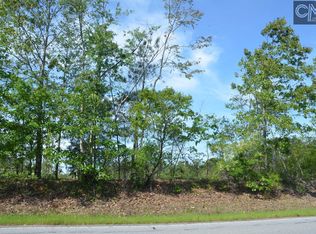 1322 Track Rd, Pelion, SC 29123