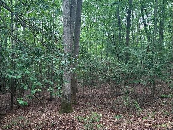 5th image of 16661 Bald Eagle School Rd