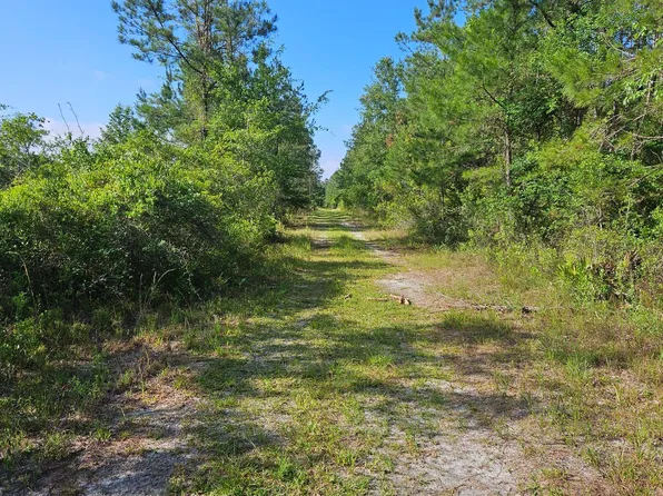 SE County Road 135 Off #135, White Springs, FL 32096
