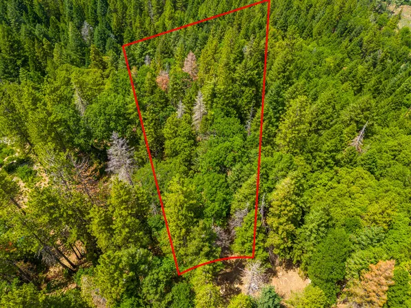 Mount Shasta View Ln, Oak Run, CA 96069