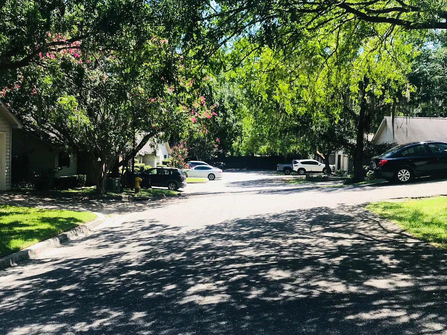 2 bed, 1188 sqft, $1,650 — Photo 2