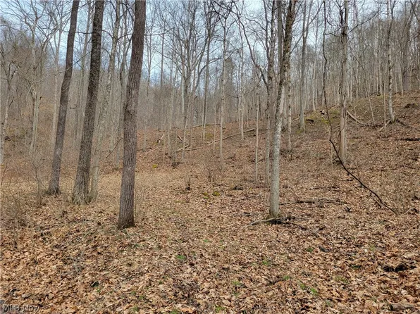 376 State Rte, McConnelsville, OH 43756