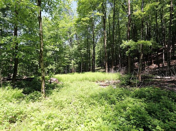 0 Hammer Road, Fremont Center, NY 12736