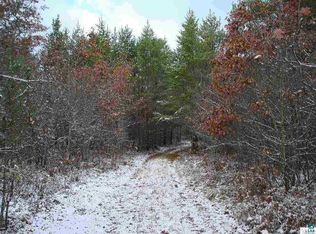 Tbd Forest Road 245 Barksdale, Washburn, WI 54891