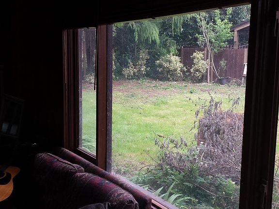 back yard