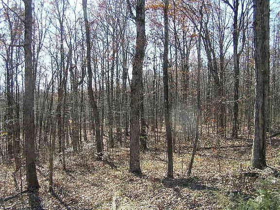 4th image of 280 Evening Shade Ln