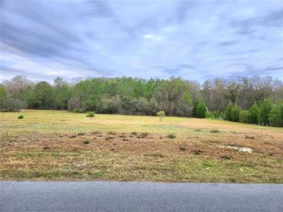 Double Diamond Dr, Polk city, FL, 33868