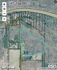 206 Gooseneck Ln, Hawkinsville, GA, 31036