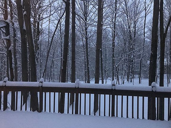 View from Deck - Winter