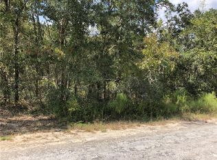 7443 Atwood Dr, Webster, FL 33597